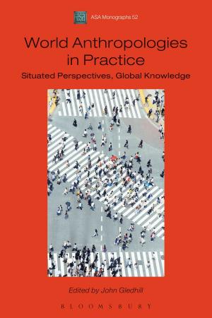 Cover of the book World Anthropologies in Practice by Jeffrey H. Epstein