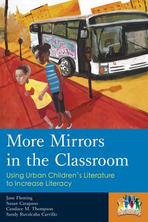 Book cover of More Mirrors in the Classroom