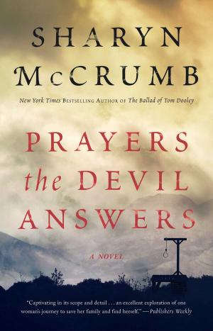 Cover of the book Prayers the Devil Answers by Kim McCosker