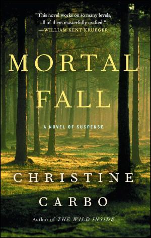 Book cover of Mortal Fall