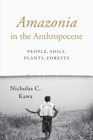 Cover of the book Amazonia in the Anthropocene by Joan M. Gero