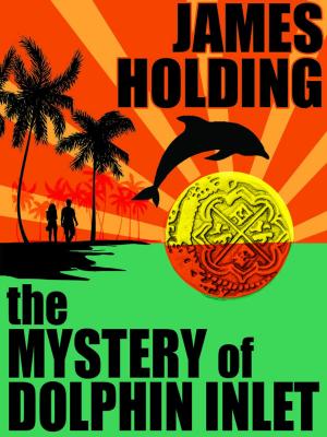 Book cover of The Mystery of Dolphin Inlet
