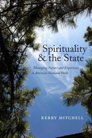 Cover of the book Spirituality and the State by Angela D. Dillard