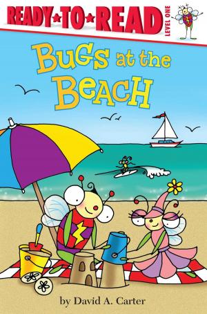 Cover of the book Bugs at the Beach by P.J. Night