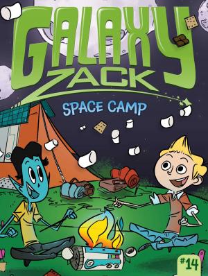 Cover of the book Space Camp by Walker Styles