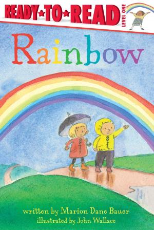 Cover of the book Rainbow by Becky Friedman