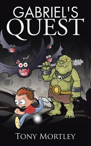 Book cover of Gabriel's Quest