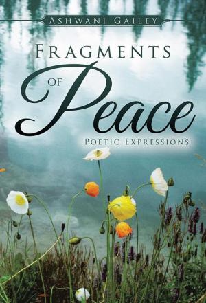 bigCover of the book Fragments of Peace by 
