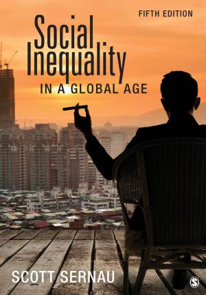 Cover of the book Social Inequality in a Global Age by Dr. Cathy A. Toll