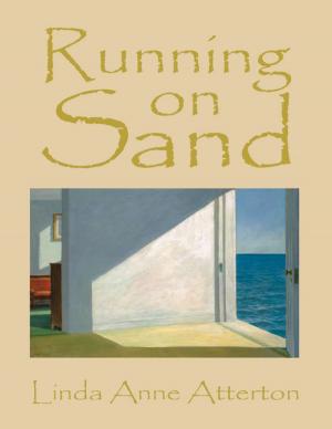 Cover of the book Running On Sand by Brandon Christopher