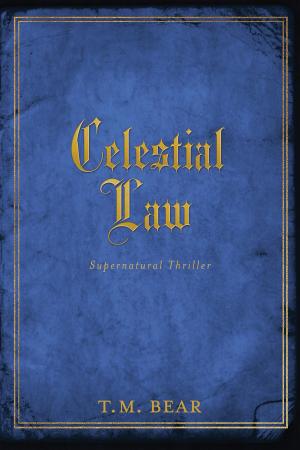 Cover of the book Celestial Law by Eugene Krajewski