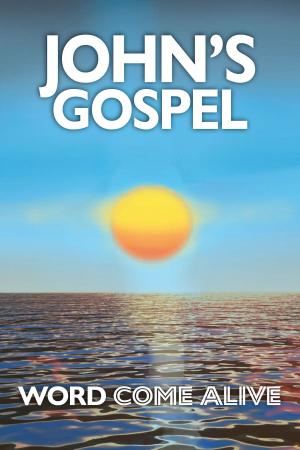 Cover of the book John's Gospel by Patricia L Hall