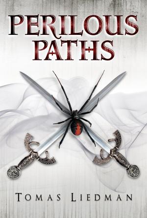 Cover of the book Perilous Paths by Gary Davis