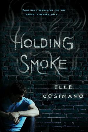 Cover of the book Holding Smoke by Disney Book Group, Laura Uyeda