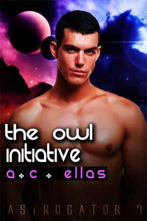 Cover of the book The Owl Initiative by Curtis A. Cooper
