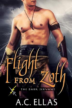 Cover of the book Flight From Zoth by Jon Bradbury