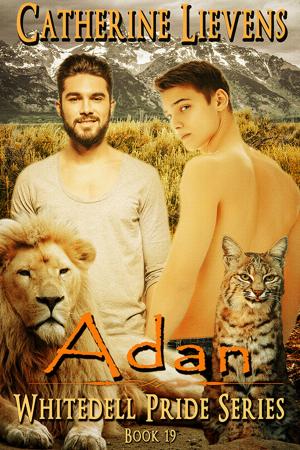 Cover of the book Adan by Suede Delray