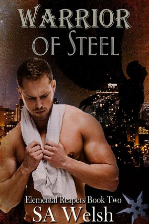 Cover of the book Warrior of Steel by Celine Chatillon
