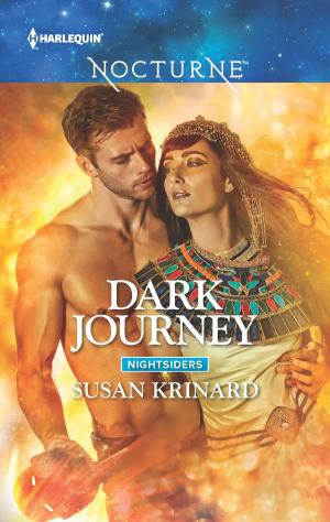 Cover of the book Dark Journey by Amanda Stevens