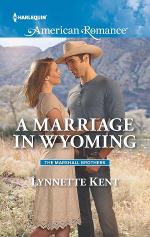 Cover of the book A Marriage in Wyoming by Helen R. Myers, Amy Woods