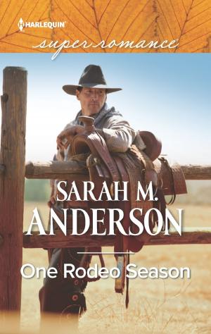 Cover of the book One Rodeo Season by Sarah M. Anderson, Silver James, Kat Cantrell