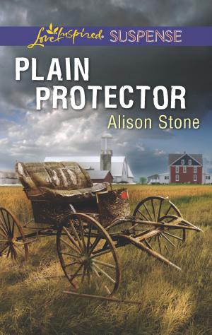 Cover of the book Plain Protector by Diane Gaston