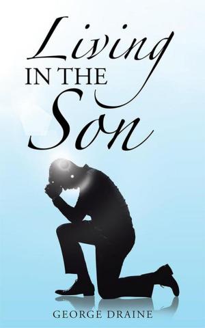 Cover of the book Living in the Son by Carl Luepnitz