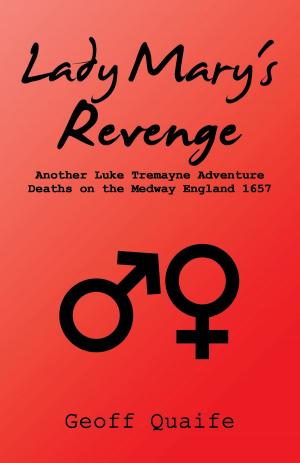 Cover of the book Lady Mary's Revenge by George D. Schultz