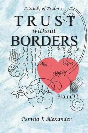 Cover of the book Trust Without Borders by Misti Stevens