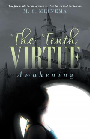 Cover of the book The Tenth Virtue by Janet Farrell Leontiou Ph.D.