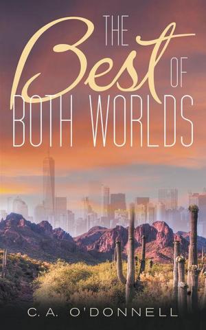 Cover of the book The Best of Both Worlds by David Small