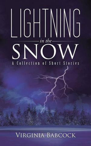 bigCover of the book Lightning in the Snow by 