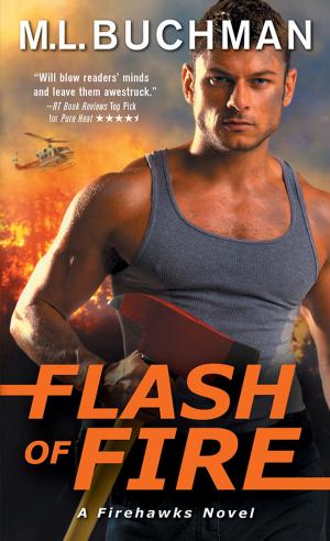 Cover of the book Flash of Fire by Amanda Forester