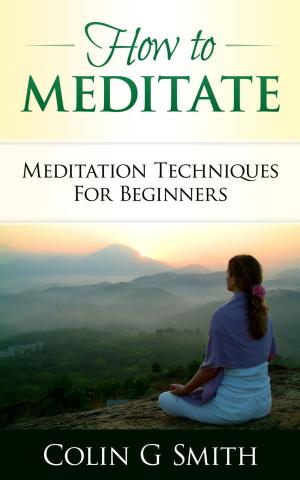 Cover of How To Meditate: Meditation Techniques For Beginners Guide Book