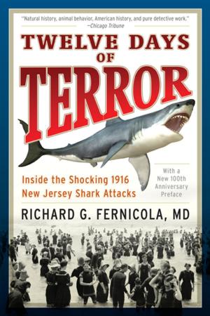 Cover of the book Twelve Days of Terror by Ellen Brown