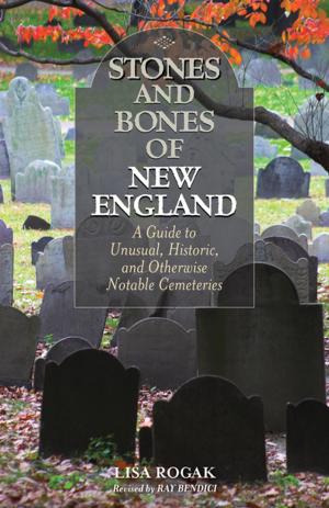 Cover of the book Stones and Bones of New England by Dario Castagno, Robert Rodi