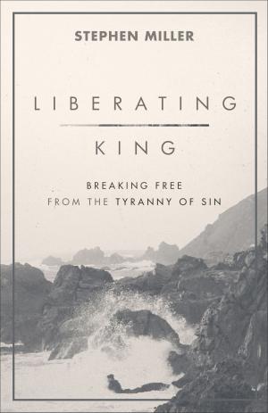 Cover of the book Liberating King by Dani Pettrey