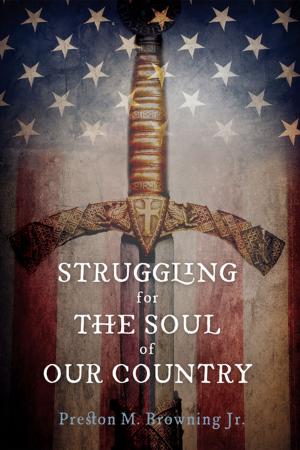 Cover of the book Struggling for the Soul of Our Country by Eric Faye