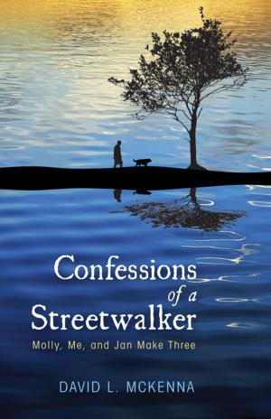 Cover of the book Confessions of a Streetwalker by Mordecai Schreiber