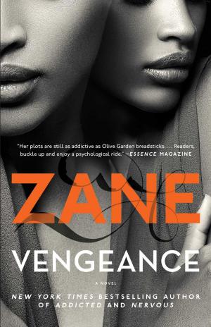 Cover of the book Vengeance by Jolie Sikes, Amie Sikes