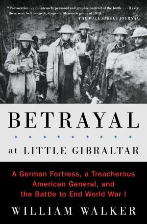 Cover of the book Betrayal at Little Gibraltar by Don DeLillo