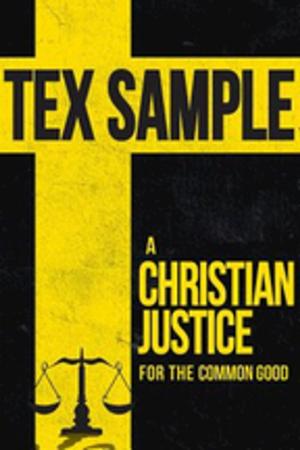 Cover of the book A Christian Justice for the Common Good by Walter Brueggemann