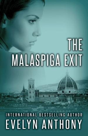 Cover of the book The Malaspiga Exit by Bruce Vaughan