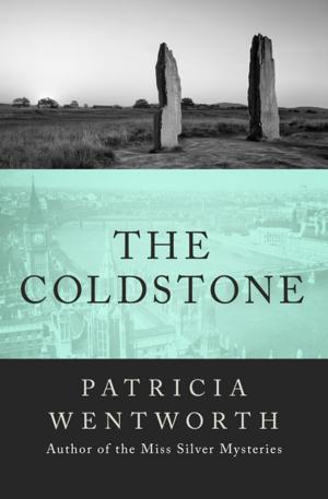 bigCover of the book The Coldstone by 