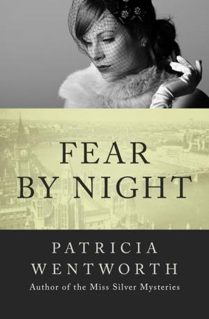 Cover of the book Fear by Night by David Feintuch