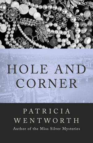 Cover of the book Hole and Corner by F. M. Busby