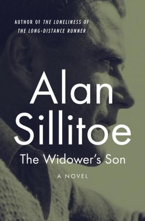Cover of the book The Widower's Son by Mack Maloney