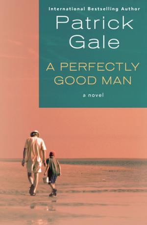 Cover of the book A Perfectly Good Man by Susan Minot