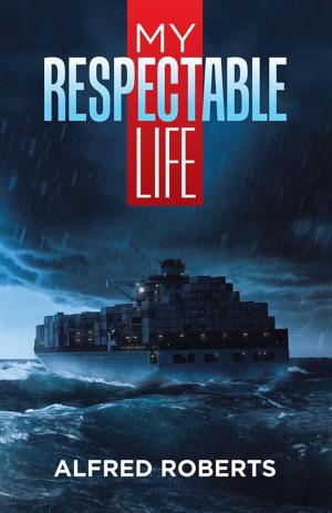 Cover of the book My Respectable Life by Jason Paul Jelicich