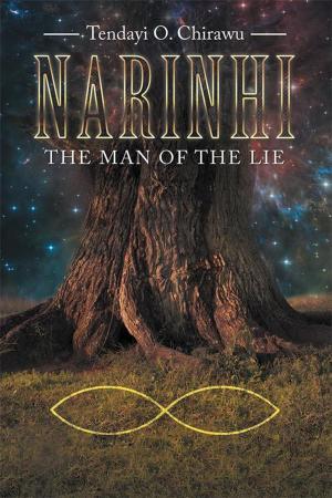 Cover of the book Narinhi by John Cappello